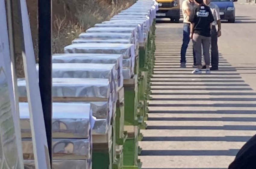 Komuna e Gjilanit, mbështet 50 bletarë të rinj me 150 koshere bletësh