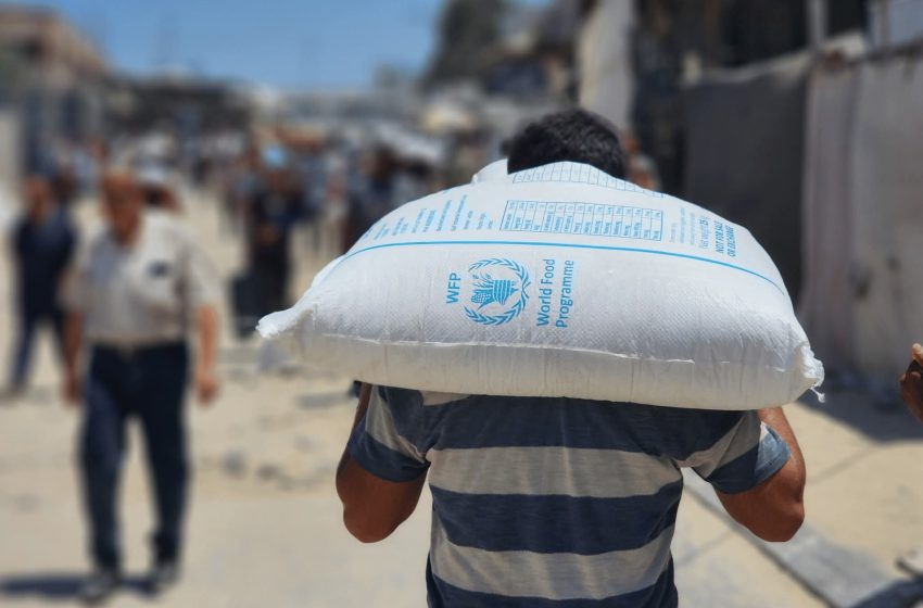  Programi Botëror për Ushqim (WFP), është organizata më e madhe humanitare në botë që lufton urinë dhe pasigurinë ushqimore.